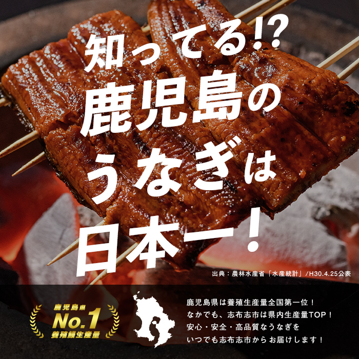 【志布志市制20周年記念】【10営業日以内に発送】鹿児島県産うなぎ蒲焼 名水慈鰻 2尾＜計350g以上＞ うなぎ 鰻 ウナギ 国産 九州産 蒲焼 かばやき 人気 うな重 ひつまぶし a3-236