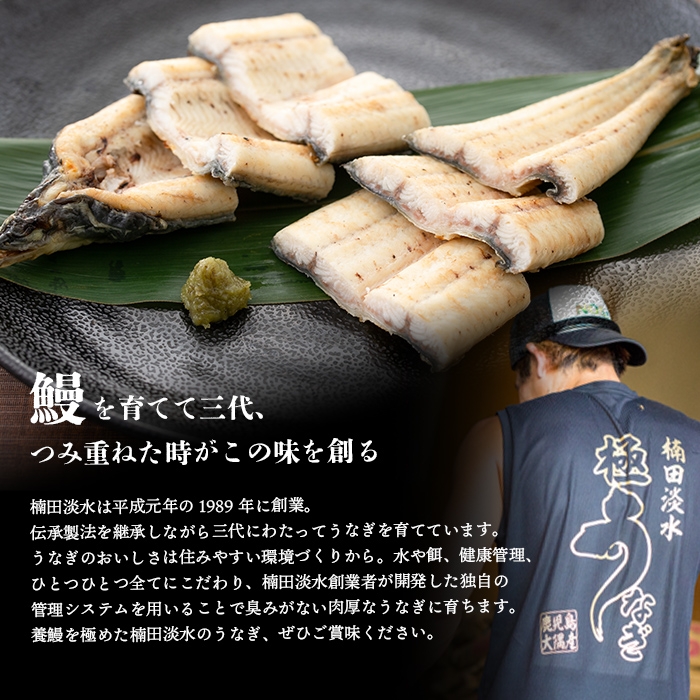 楠田の極うなぎ白焼き 2尾(有頭130g以上×2尾) こだわり真空パックで肉厚の国産鰻をお届け！ウナギ本来の旨味を味わえます！鰻 ウナギ 白焼き うな重 ひつまぶし 鹿児島 冷凍 おかず お祝い a4-105