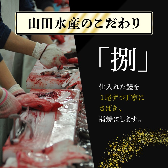 八本木樽鰻2尾＆お茶セット うなぎ蒲焼(156g以上×2尾)＆煎茶さがの(100g) 鰻 タレ たれ さんしょう 山椒付 お茶 緑茶 鹿児島県産 国産 セット 冷凍 おかず おつまみ お祝い 惣菜 a5-330