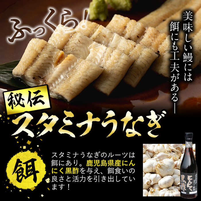 【訳あり】鹿児島県産！秘伝の特上スタミナうなぎ白焼き＜計300g以上／2尾以上＞肝吸いセット！ a6-064
