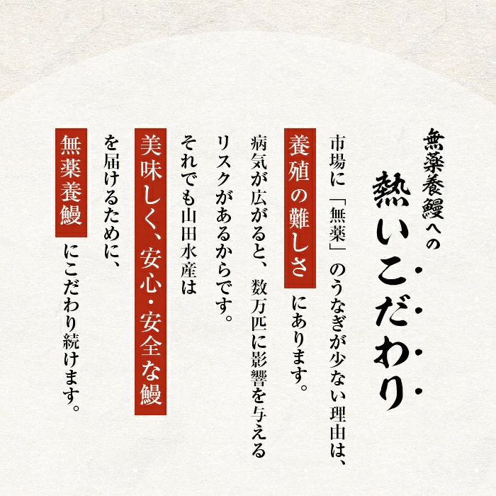【無薬養鰻】 鹿児島産 山田のうなぎ ＜計480g以上＞（160g以上×3尾） 肝串セット うなぎ 鰻 ウナギ 無薬 養鰻 無投薬 3尾 国産 九州産 蒲焼き かばやき 冷凍 うな重 ひつまぶし タレ 山椒 【ポータル限定】 a6-062-km