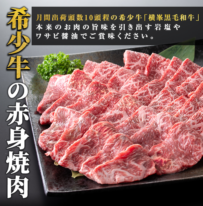 鹿児島県志布志市産横峯黒毛和牛の赤身焼肉(計450g・225g×2P) 鹿児島県産 国産 牛肉 牛 赤身 赤身肉 焼き肉 希少牛 手切り モモ ウデ バーベキュー BBQ b0-195