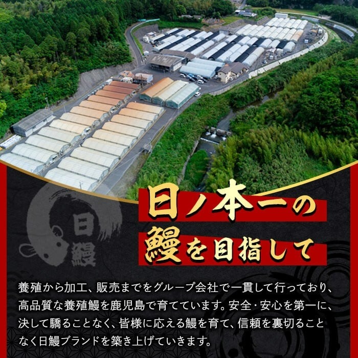 日ノ本一の鰻の蒲焼き＜特大＞2尾セット(計470g以上) うなぎ 鰻 ウナギ 国産 鹿児島県産 九州産 蒲焼き 冷凍 うな重 ひつまぶし b3-010