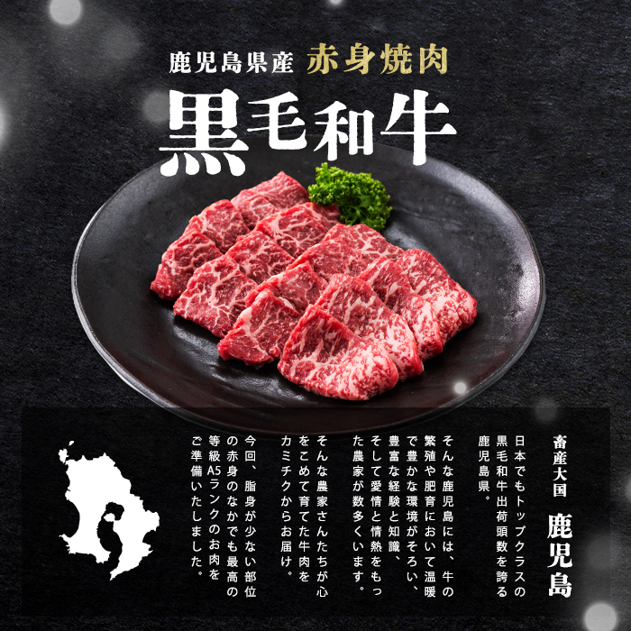 【小分け】＜A5等級＞鹿児島県産黒毛和牛 赤身焼肉(200g×5パック/計1kg)   牛肉 肉 小分け 鹿児島県産 国産 A5 赤身 焼肉 焼き肉 やきにく 黒毛和牛 BBQ 全国和牛能力共進会 ヘルシー あっさり b5-189