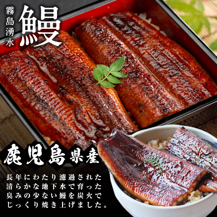 鹿児島県産 霧島湧水鰻3尾(1尾156g)×里山牛100%手作りハンバーグ4個(1個100g) (総計860g以上) うなぎ 鰻 ウナギ 蒲焼き 真空パック うな丼 鰻重 牛 牛肉 鹿児島県産 国産 ハンバーグ 100% b6-019