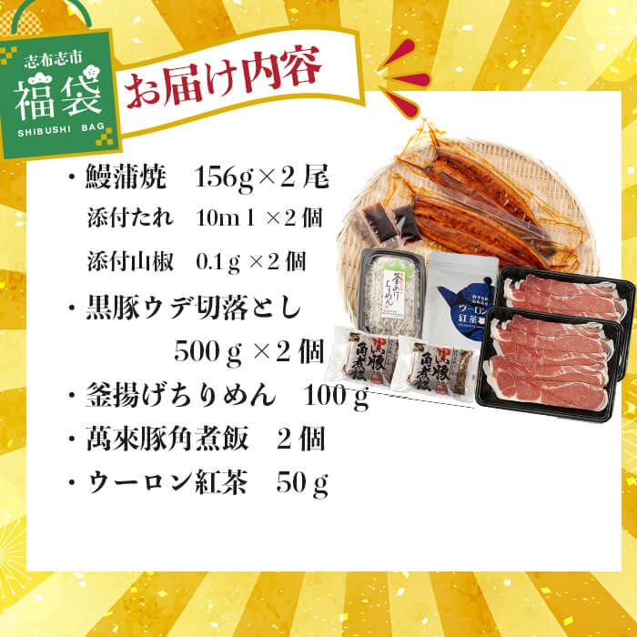 志布志市福袋！鰻とおかずいろいろセット(霧島湧水鰻2尾＆釜揚げちりめん＆黒豚ウデ切り落とし＆ウーロン紅茶＆角煮飯) ウナギ 蒲焼 2尾 バラエティ お楽しみ b8-041
