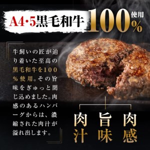 ＜A4・A5等級＞鹿児島県産黒毛和牛100%使用極上手ごねハンバーグ計3kg(150g×20個) 黒毛和牛 和牛 ハンバーグ 冷凍ハンバーグ 肉 牛肉 国産 九州産 鹿児島県産 ミンチ 100% 小分け A4 A5 日本一 人気 b8-037