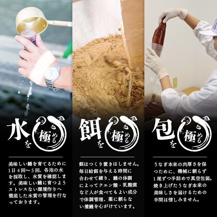 ＜入金確認後、2週間以内に発送！＞楠田の極うなぎ 蒲焼き130g以上×5尾(650g以上) c0-092-2w
