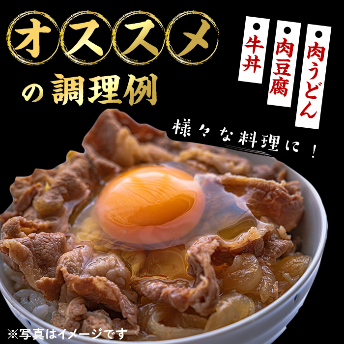 【小分け】＜A5等級＞鹿児島県産黒毛和牛 切り落とし(250g×10P・計2.5kg) 牛肉 肉 小分け 切落し 切り落とし 切り落し 国産 鹿児島県産 黒毛和牛 A5 全国和牛能力共進会 牛丼 c0-121