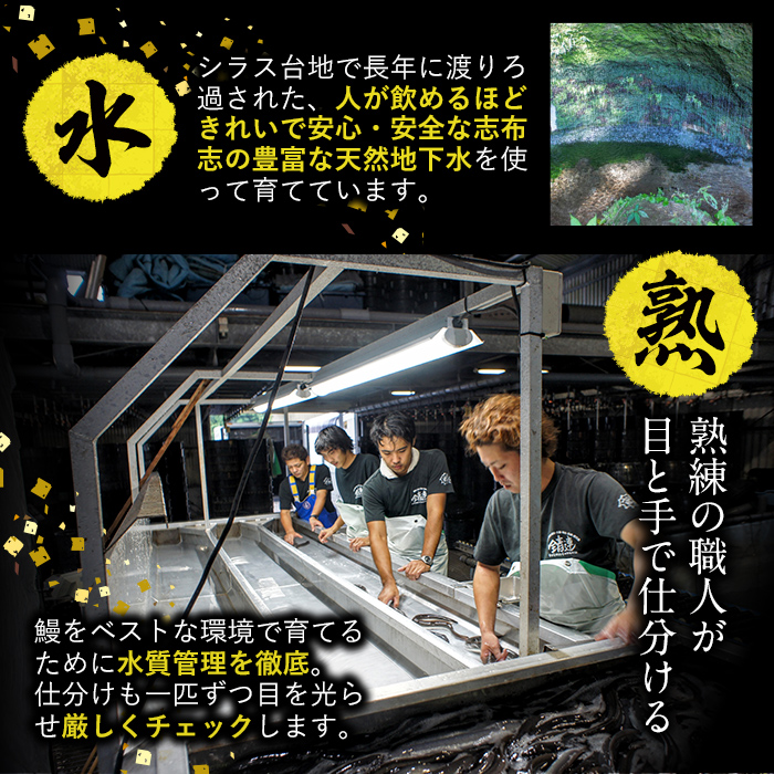 【訳あり】鹿児島県産！秘伝のスタミナうなぎ蒲焼き＜計600g以上／4尾以上＞肝吸いセット！ c0-138