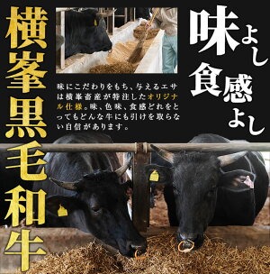 鹿児島県志布志市産横峯黒毛和牛のサーロインステーキ計500g(250g×2枚) 鹿児島県産 国産 牛肉 牛 焼き肉 希少牛 サーロイン ステーキ バーベキュー BBQ d0-030