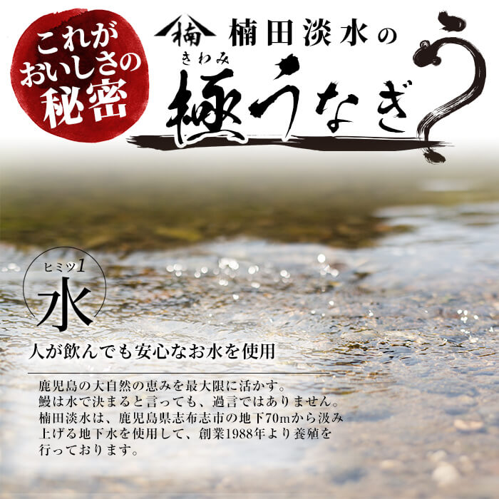 楠田のきざみうなぎ70g×20袋(計1.4kg) 鰻 うなぎ ウナギ きざみ鰻 刻みうなぎ 刻み鰻 蒲焼き かばやき 国産 九州産 鹿児島県産 冷凍 レンジ 簡単 うな丼 ひつまぶし 惣菜 おかず d2-005