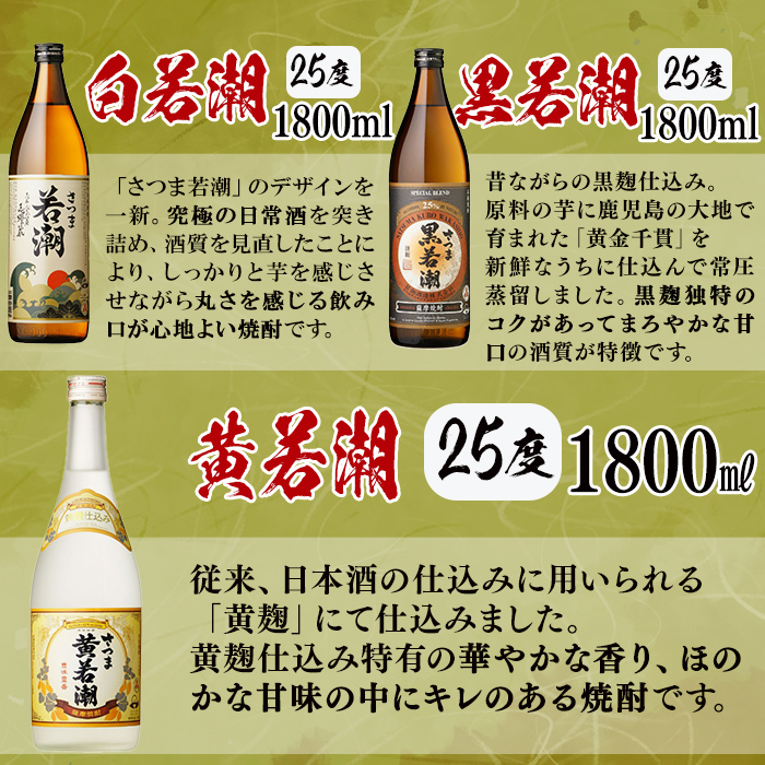 ＜入金確認後、2週間以内に発送！＞【数量限定】まるごと若潮酒造(1800ml×6本)セット e2-002-2w