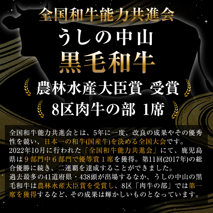 【数量限定】A4・5等級 鹿児島県産黒毛和牛うしの中山サーロインステーキ(計800g/200g×4枚)  黒毛和牛 和牛 ステーキ サーロイン 肉 牛肉 国産 九州産 鹿児島県産 赤身 焼肉 日本一 ランキング 人気 A4 A5 f5-001
