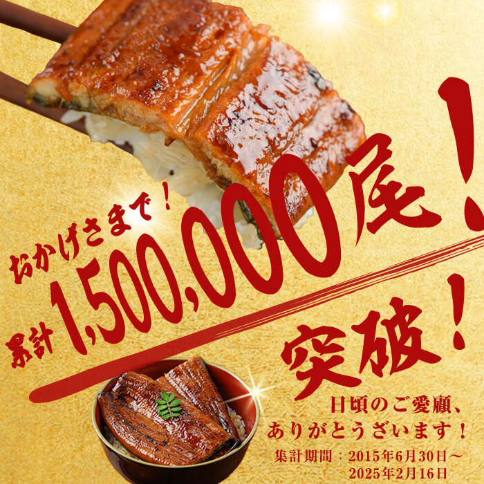 【志布志市人気No.1お礼の品】霧島湧水鰻の蒲焼き 1尾 ＜156g以上×1尾＞ うなぎ 鰻 ウナギ 1尾 国産 九州産 蒲焼き かばやき 冷凍 うな重 ひつまぶし タレ 山椒 ランキング 人気 p58-001