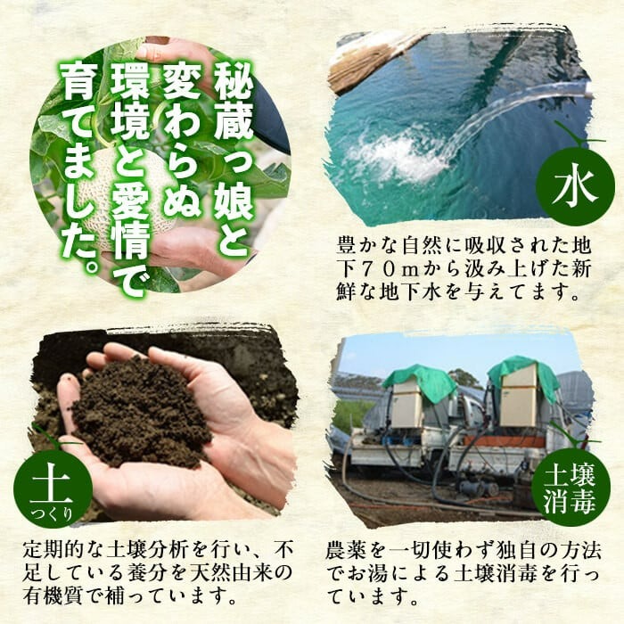 【期間限定・数量限定】鹿児島県志布志産 摘果メロン(子メロン・小メロン) 2kg a0-330