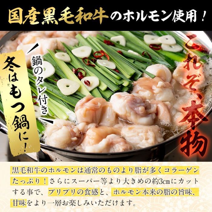 国産黒毛和牛ホルモン もつ鍋セット(2～3人前) 黒毛和牛 肉 牛肉 国産 もつ鍋 モツ鍋 ホルモン タレ 鍋 焼肉 バーべキュー 小分け p9-042