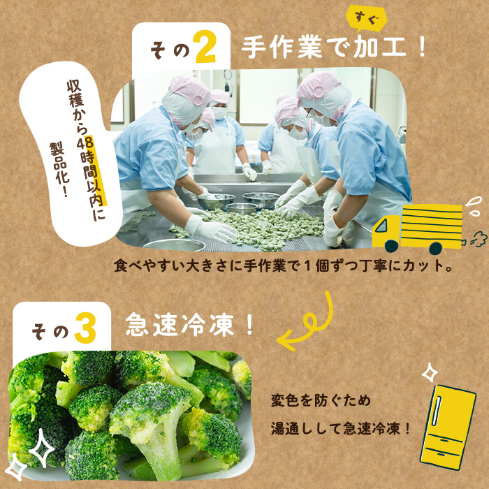 【定期便 全3回】鹿児島県産 冷凍ブロッコリー ＜計2.4kg＞(200g×4袋×3ヶ月) ブロッコリー 野菜 冷凍 カット カット野菜 国産 簡単 手軽 サラダ 味噌汁 スープ お弁当 t0024-005
