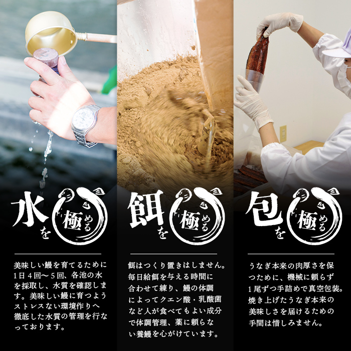 【定期便全3回】うなぎ本来の旨みが楽しめる白焼き定期便！ t0066-002