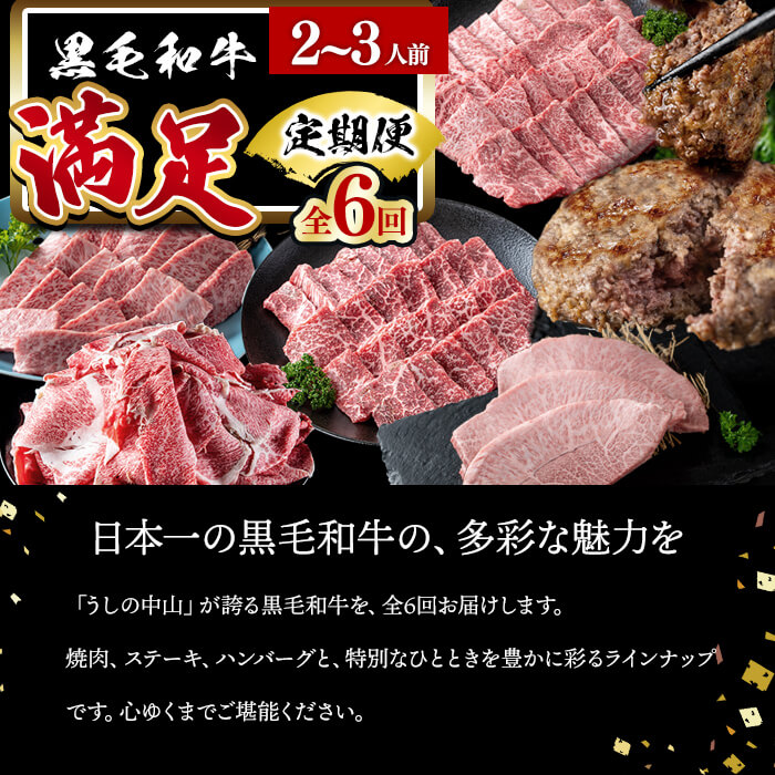 【定期便全6回】＜A4・A5等級＞黒毛和牛堪能〈満足〉定期便（2～3人分）総重量1.95kg 鹿児島県産 黒毛和牛 和牛 肉 牛肉 国産 九州産 鹿児島県産 焼肉 焼き肉 BBQ A4 A5 赤身 切り落とし カルビ お楽しみ 食べ比べ ハンバーグ ミスジ 霜降り ステーキ 2人前 3人前 t0069-001