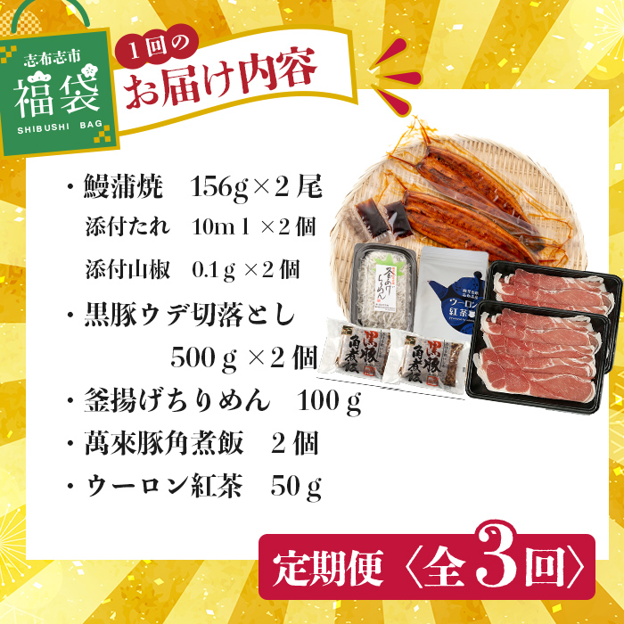 【定期便全３回】志布志市福袋！鰻とおかずいろいろセット(霧島湧水鰻2尾＆釜揚げちりめん＆黒豚ウデ切り落とし＆ウーロン紅茶＆角煮飯) ウナギ 蒲焼 2尾 鰻重 うな丼 黒豚 しらす ちりめんじゃこ バラエティ 食べ比べ t0084-015