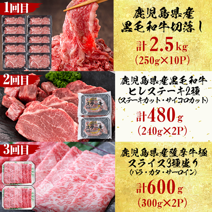 【定期便・全6回】＜A5等級＞鹿児島県産黒毛和牛＆国産牛タンのお楽しみ牛肉定期便＜計6.1kg超＞ 定期便 牛肉 肉 お楽しみ バラエティ 小分け 牛たん すき焼き しゃぶしゃぶ ステーキ 焼肉 セット 頒布会 t0135-001