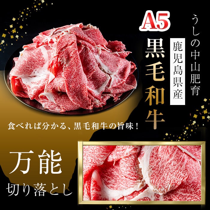 【定期便全12回】＜A4・A5等級＞黒毛和牛万能切り落とし肉 計4.8kg(400g×1P・全12回) 黒毛和牛 和牛 切り落とし 肉 牛肉 国産 九州産 鹿児島県産 すき焼き しゃぶしゃぶ 牛丼 小分け A5 日本一 ランキング 人気 定期便 t0144-001