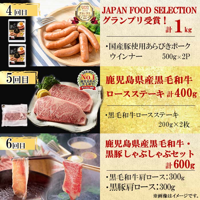 【定期便・全12回】ナンチクのお肉を楽しむ定期便！ナンチク厳選コース！ 総量8.5kg超! 牛肉 豚肉 鹿児島県産 国産 黒毛和牛 ステーキ すきやき しゃぶしゃぶ 焼肉 BBQ ウインナー ソーセージ ハム ローストビーフ 生ハム 定期便? t0165-001