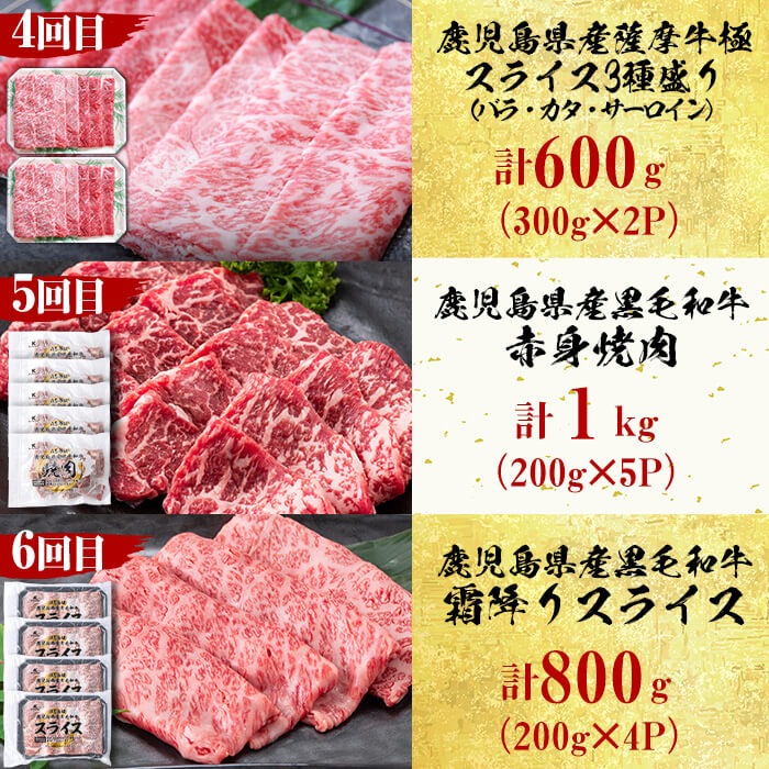 【定期便・全12回】＜A5等級＞鹿児島県産黒毛和牛＆国産牛タン プレミアム！牛肉満喫コース＜計12kg超＞ 定期便 牛肉 肉 1年 12回 12ヶ月 お楽しみ バラエティ 小分け 牛たん すき焼き しゃぶしゃぶ ステーキ 焼肉 セット 頒布会 	t026-001