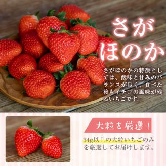 1粒34g以上の大粒いちご さがほのか 計600g(300g×2パック) a4-040