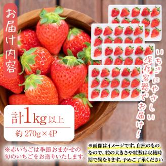 鹿児島県産いちご！ 品種おまかせ赤いちご4Pセット(計1kg・約270g×4P) a5-168