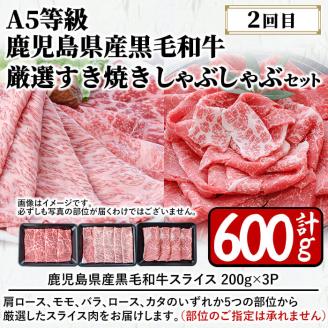 【定期便・全2回】A5等級の鹿児島県産黒毛和牛と黒豚のしゃぶしゃぶ定期便 t0033-003