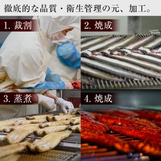 鹿児島県産うなぎ蒲焼 名水慈鰻 大9尾(1尾160g以上)＜計1.4kg以上＞ e8-001