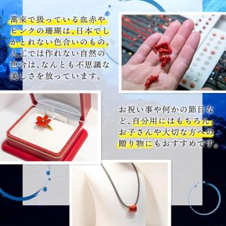 【数量限定】珊瑚日の丸ペンダント (赤珊瑚、白珊瑚:約13×16.5mm) 珊瑚 サンゴ アクセサリー ペンダント ネックレス wb7-005