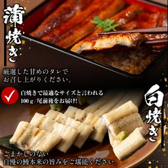 【数量限定】鹿児島県産！秘伝の特上スタミナうなぎ蒲焼き＆白焼き＜計3尾・計380g以上＞  b0-214