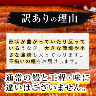 【訳あり・数量限定】復活！不揃いのうなぎ達 計800g以上(鹿児島県産 鰻の蒲焼き)　うなぎ 鰻 ウナギ 不揃い ふぞろい 訳アリ 国産 九州産 蒲焼 蒲焼き かばやき 冷凍 うな重 ひつまぶし 人気 b2-040