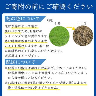 天然芝＜野芝＞2平米! 芝 芝生 天然 天然芝 DIY グランドカバー ガーデニング 野芝  鹿児島県 お庭 a1-110