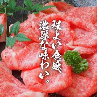 鹿児島県産黒毛和牛カタローススライス300g×4パック＜計1.2kg＞ c0-102