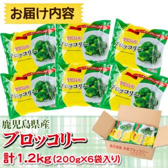 【志布志市制20周年記念】鹿児島県産 冷凍ブロッコリー(計1.2kg) ブロッコリー 野菜 冷凍 カット カット野菜 国産 簡単 手軽 サラダ 味噌汁 スープ お弁当 a0-388