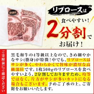 黒毛和牛ステーキ肉高級部位2種＜リブロース・サーロイン＞食べ比べ(計900g) b7-019
