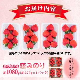 【数量限定】鹿児島県産朝採れイチゴ「恋みのり」約1080g(約270g×4パック)　いちご イチゴ 苺 果物 フルーツ スイーツ デザート お菓子 人気 甘い 大粒 ジャム スムージー a3-209