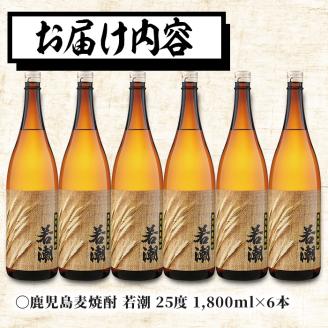 ＜入金確認後、2週間以内に発送！＞鹿児島麦焼酎＜若潮＞(各1.8L・計6本) c4-012-2w