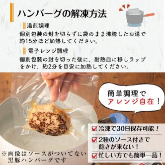 鹿児島県黒豚 100%使用 黒豚ハンバーグ(デミグラス＆トマト)＜計1.1kg以上・140g×8個＞ a1-097