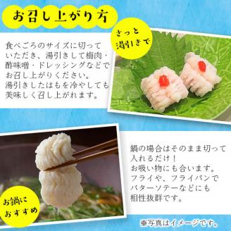 お鍋・はもしゃぶにも！志布志湾鱧（骨切り済み） 計600g a5-296