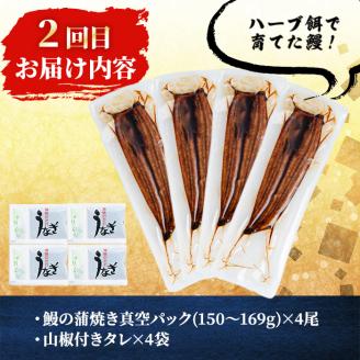 【定期便・全3回】志布志鰻三昧！事業者別の鰻を食べ比べ＜計9尾・1.4kg以上＞ t0066-006