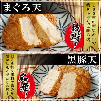 本場鹿児島のさつま揚げセット(全6種・計28枚) a5-298