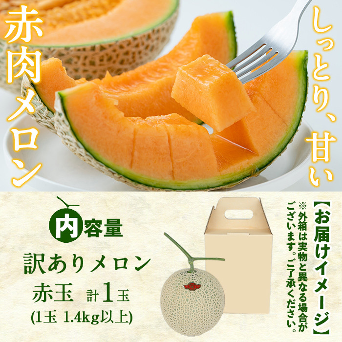 【春限定・数量限定】牧さんの訳ありメロン 赤玉(赤肉)1玉 メロン マスクメロン 果物 くだもの デザート 赤肉 訳ありa1-057-s