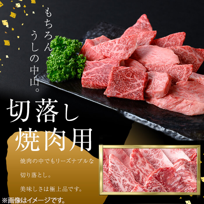 ＜A4・A5等級＞鹿児島県産黒毛和牛 うしの中山 切り落とし焼肉用 200g 黒毛和牛 和牛 肉 牛肉 国産 九州産 鹿児島県産 焼肉 日本一 a0-382