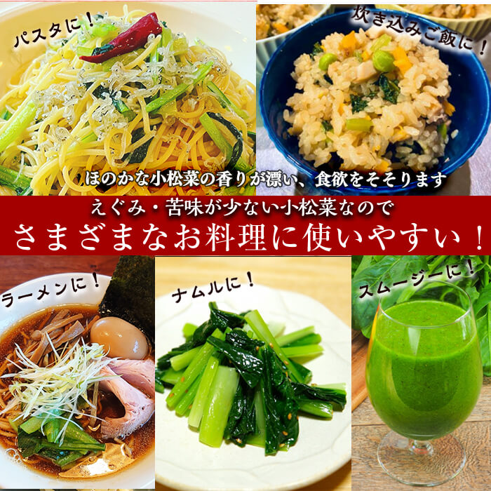 【期間限定・訳あり】志布志湾小松菜ゴールド(計2kg 200g×10袋) 小松菜 こまつな こまつ菜 野菜 やさい 小分け パスタ ナムル スムージー ラーメン 炊き込みご飯 期間限定 訳あり 訳アリ 鹿児島県産 志布志 a2-080