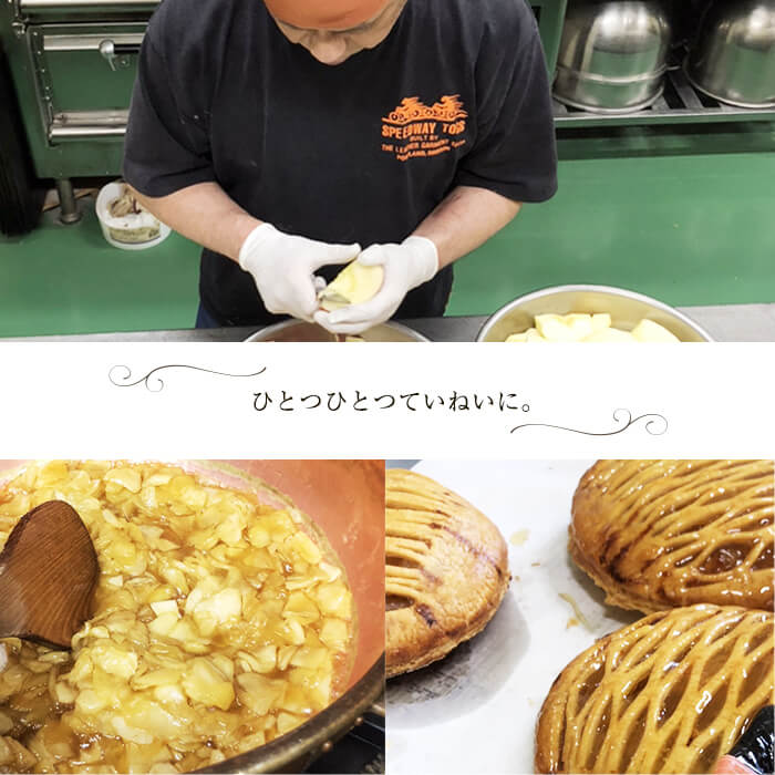 アップルパイ5号(直径17.5cm 800g以上) a4-059
